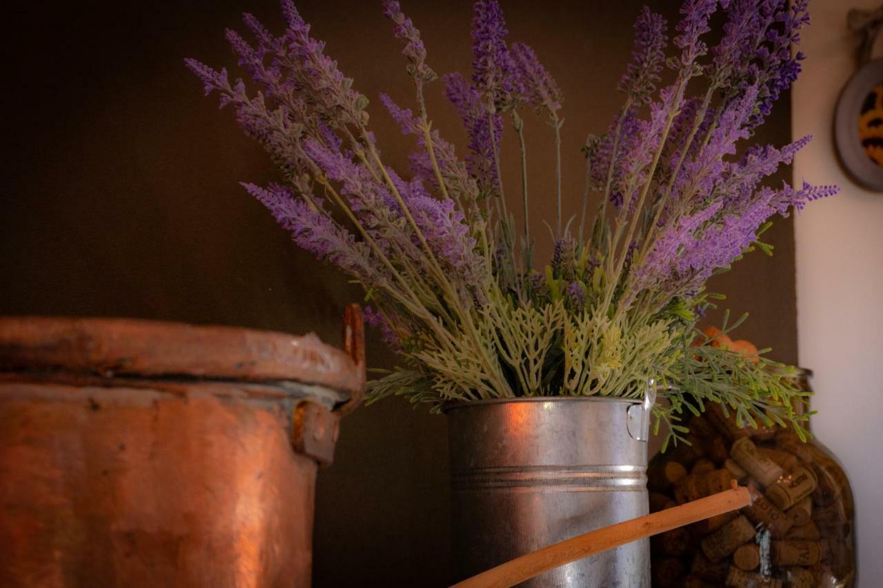 Agriturismo Le Capannacce 우르바니아 외부 사진