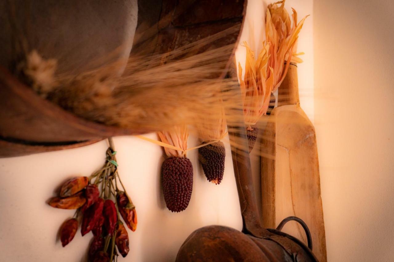 Agriturismo Le Capannacce 우르바니아 외부 사진